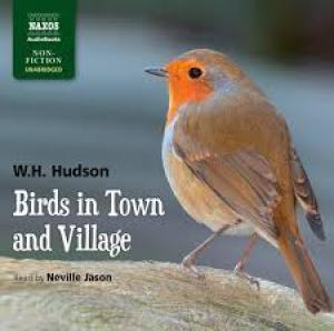 Birds in Town & Village